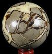 Polished Septarian Sphere - Madagascar #60525-1